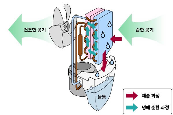 제습기 원리와 선택 방법 활용 팁 알아보기