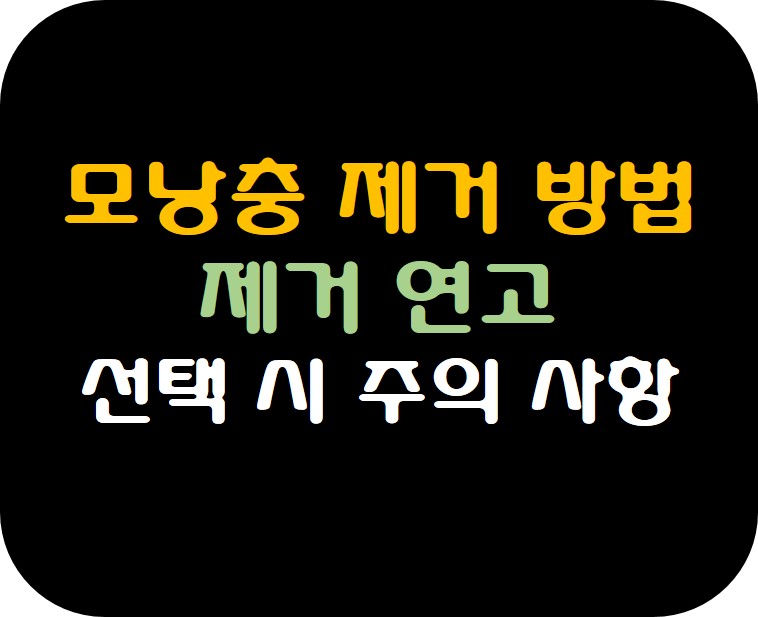 모낭충 제거 방법 썸네일 사진