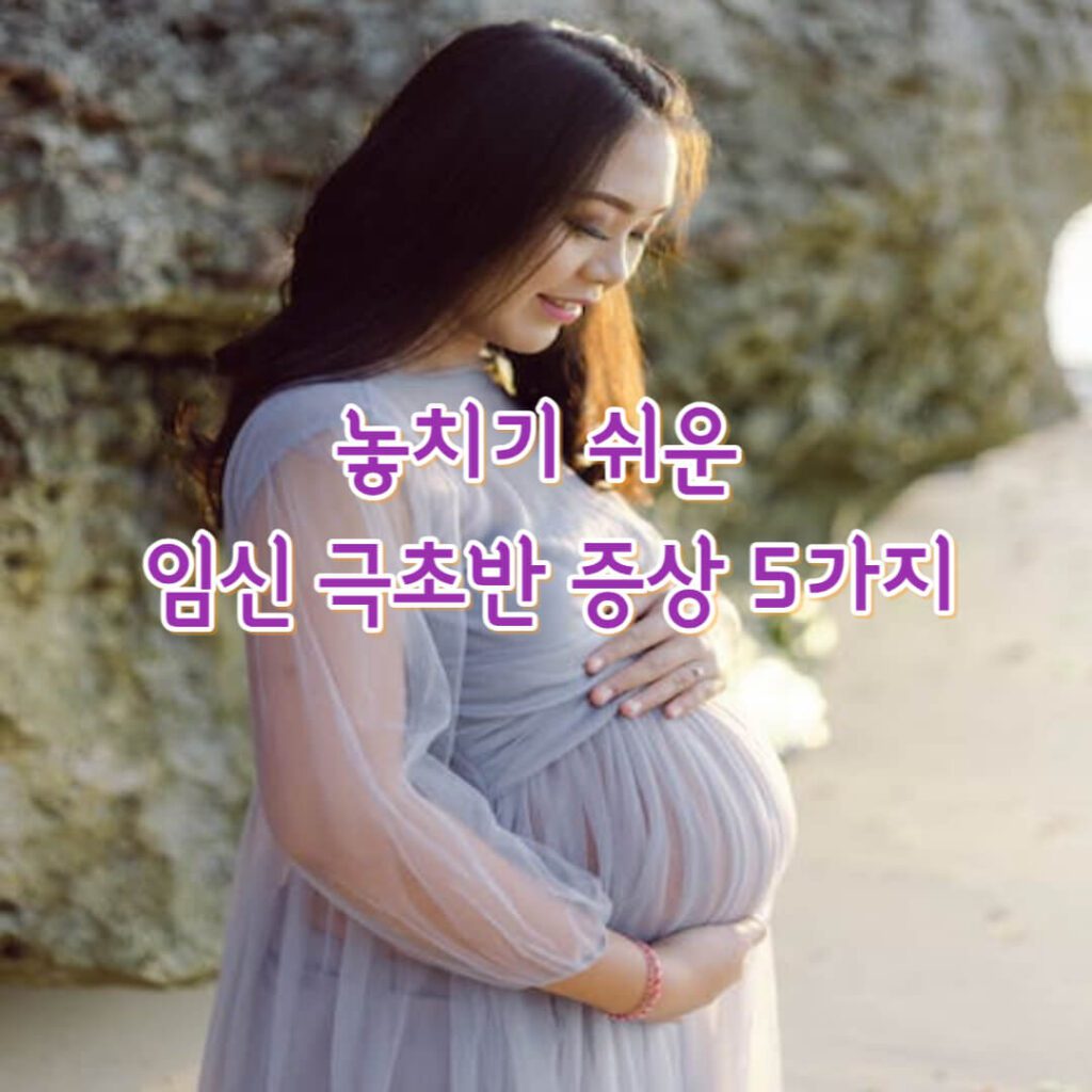 임신극초반증상을 설명하기 위한 임산부 사진