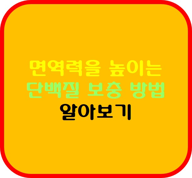 면역력을 높이는 단백질 보충 방법 안내 사진