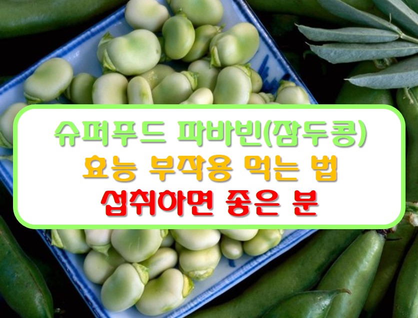 슈퍼푸드 파바빈(잠두콩) 사진