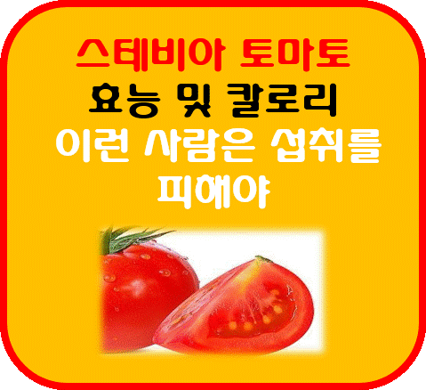 스테비아 토마토 사진