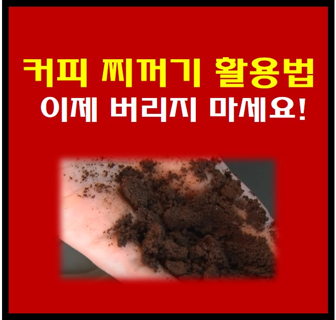 커피 찌꺼기 활용법 썸네일