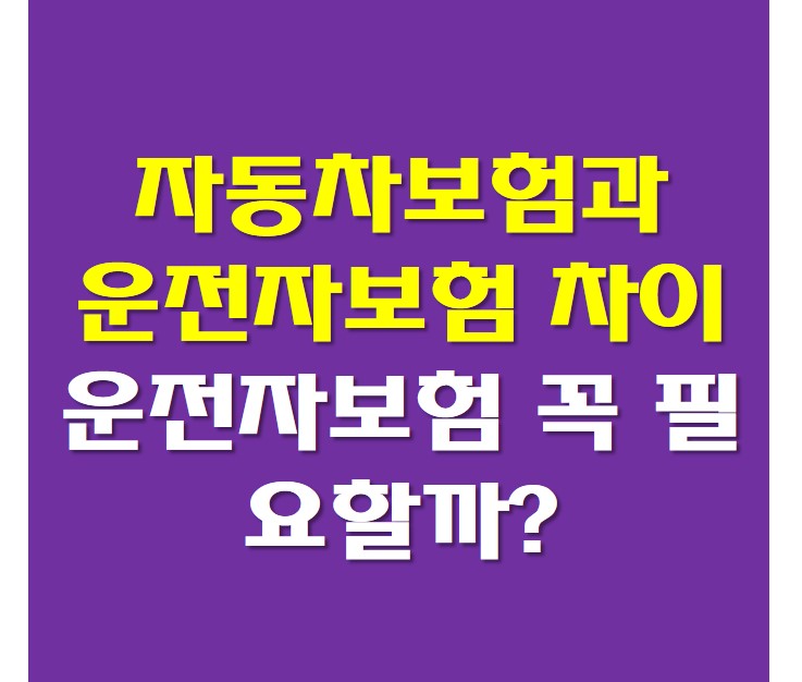 자동차보험과 운전자보험 차이 썸네일