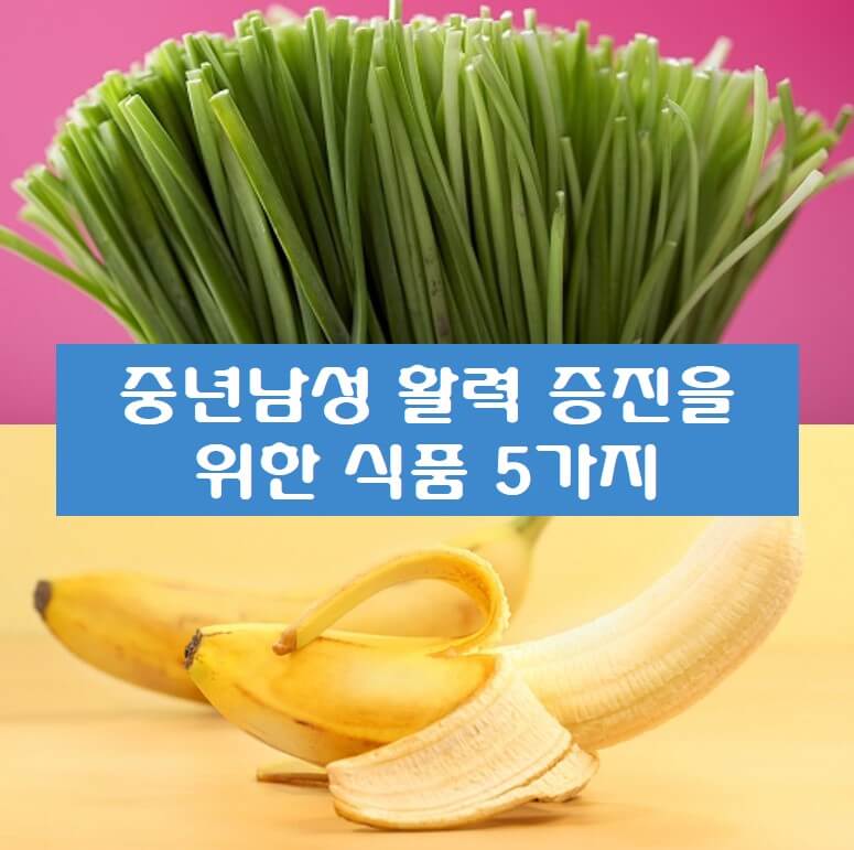 중년남성 활력 증진을 위한 식품 사진
