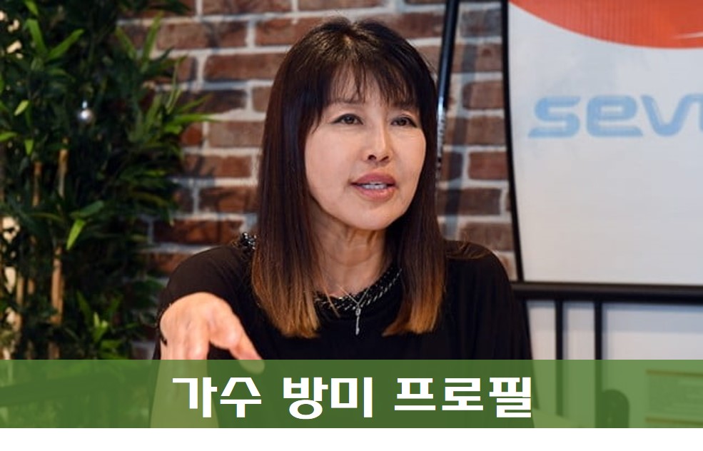 가수 방미 프로필 사진