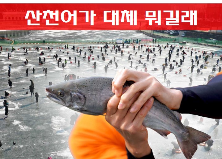 산천어 축제 사진