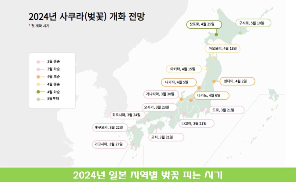 2024년 일본 지역별 벚꽃 지도 