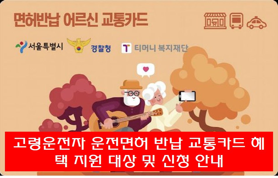 고령운전자 운전면허 반납 안내 썸네일 사진