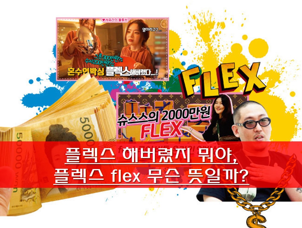 플렉스 관련 이미지