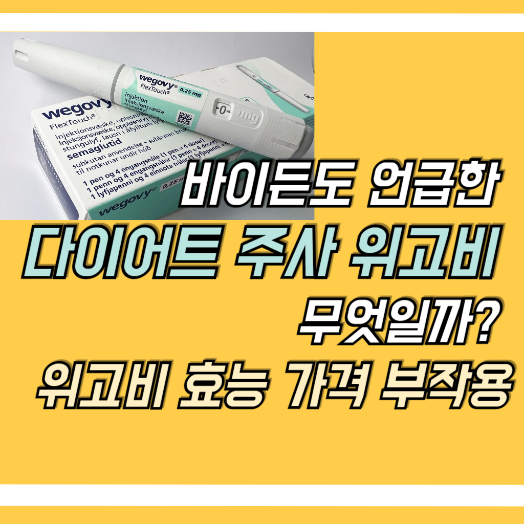 위고비 사진